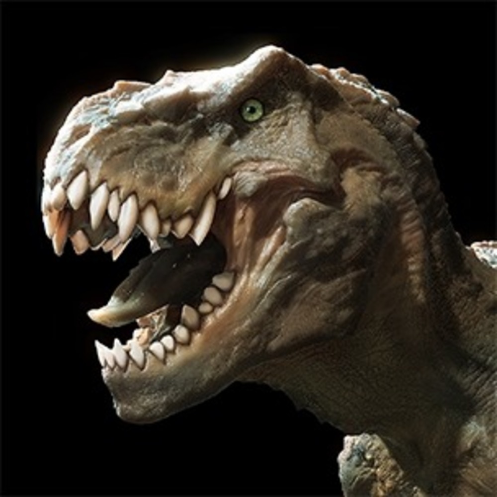 Meet your Posher, Lyn